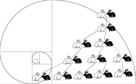 fibonacci virtual|Fibonacci.